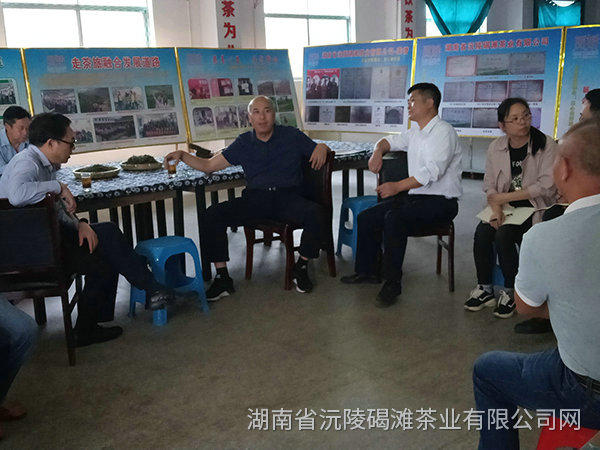 縣領導及省農業廳領導茬臨產業園區指導工作10