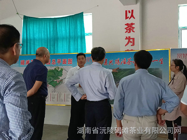 縣領導及省農業廳領導茬臨產業園區指導工作11