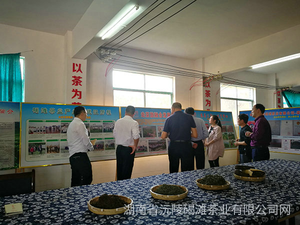 縣領導及省農業廳領導茬臨產業園區指導工作13