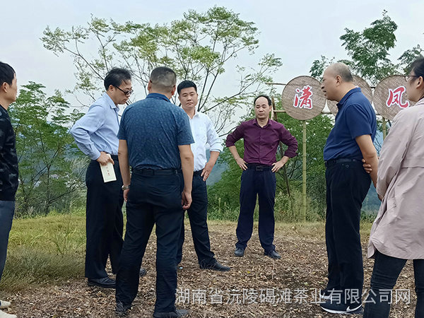 縣領導及省農業廳領導茬臨產業園區指導工作2