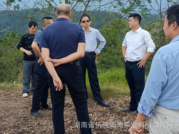 縣領導及省農業廳領導茬臨產業園區指導工作3